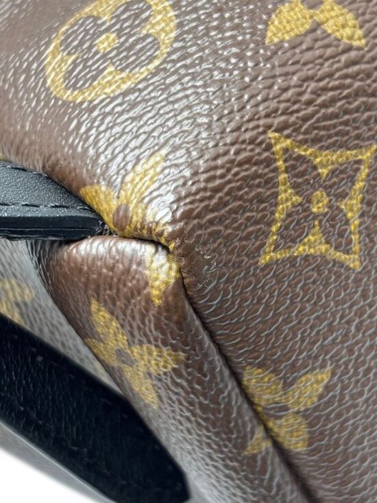 Louis Vuitton Backpack Monogram Palm Spring PM main image 5